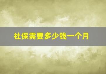 社保需要多少钱一个月