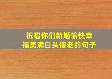 祝福你们新婚愉快幸福美满白头偕老的句子