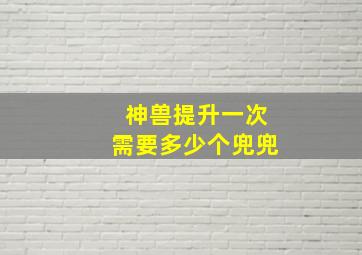 神兽提升一次需要多少个兜兜