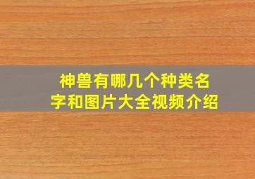 神兽有哪几个种类名字和图片大全视频介绍