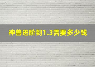 神兽进阶到1.3需要多少钱