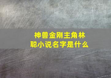 神兽金刚主角林聪小说名字是什么