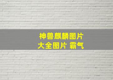 神兽麒麟图片大全图片 霸气