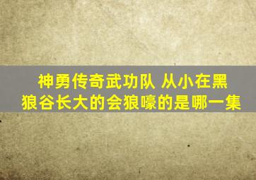 神勇传奇武功队 从小在黑狼谷长大的会狼嚎的是哪一集