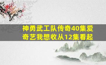 神勇武工队传奇40集爱奇艺我想收从12集看起