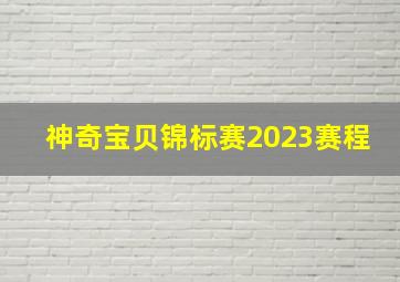 神奇宝贝锦标赛2023赛程