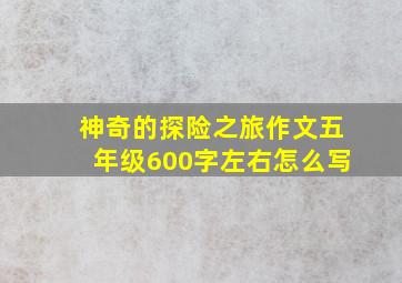 神奇的探险之旅作文五年级600字左右怎么写