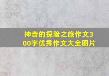 神奇的探险之旅作文300字优秀作文大全图片