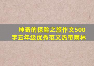 神奇的探险之旅作文500字五年级优秀范文热带雨林