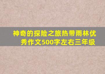 神奇的探险之旅热带雨林优秀作文500字左右三年级