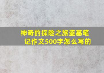 神奇的探险之旅盗墓笔记作文500字怎么写的