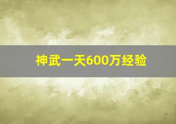 神武一天600万经验