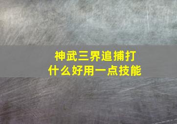 神武三界追捕打什么好用一点技能