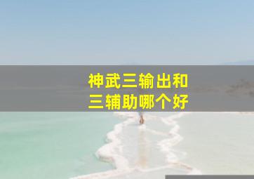 神武三输出和三辅助哪个好