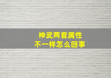 神武两套属性不一样怎么回事