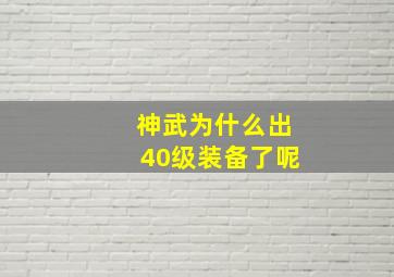 神武为什么出40级装备了呢