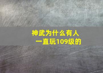 神武为什么有人一直玩109级的