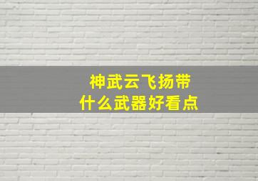 神武云飞扬带什么武器好看点