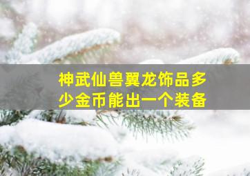 神武仙兽翼龙饰品多少金币能出一个装备