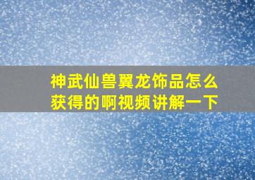 神武仙兽翼龙饰品怎么获得的啊视频讲解一下