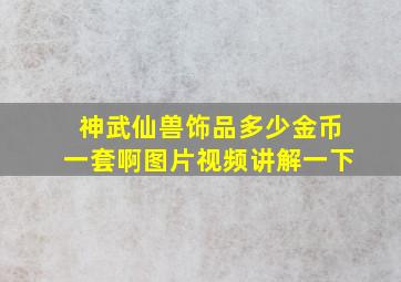 神武仙兽饰品多少金币一套啊图片视频讲解一下