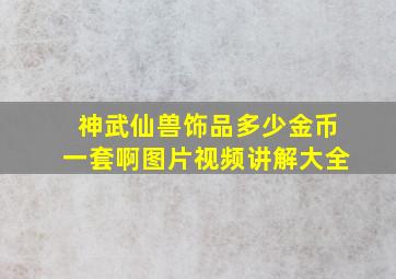 神武仙兽饰品多少金币一套啊图片视频讲解大全