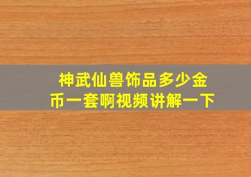 神武仙兽饰品多少金币一套啊视频讲解一下