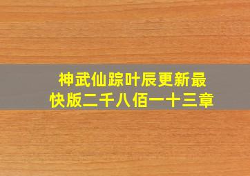 神武仙踪叶辰更新最快版二千八佰一十三章