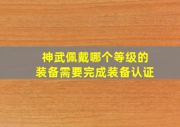 神武佩戴哪个等级的装备需要完成装备认证