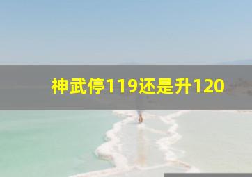 神武停119还是升120