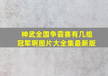 神武全国争霸赛有几组冠军啊图片大全集最新版