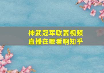 神武冠军联赛视频直播在哪看啊知乎