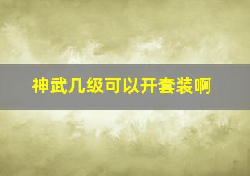 神武几级可以开套装啊