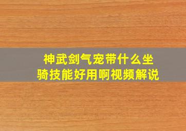 神武剑气宠带什么坐骑技能好用啊视频解说