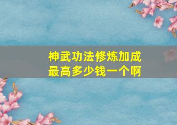 神武功法修炼加成最高多少钱一个啊