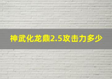 神武化龙鼎2.5攻击力多少