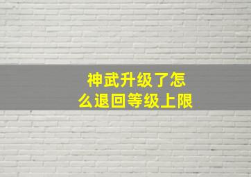 神武升级了怎么退回等级上限