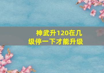 神武升120在几级停一下才能升级