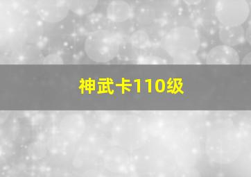 神武卡110级