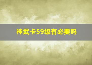 神武卡59级有必要吗