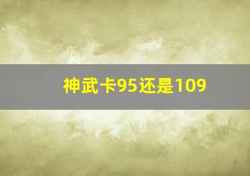 神武卡95还是109