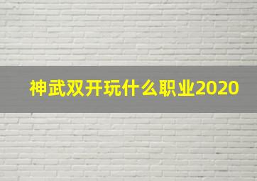 神武双开玩什么职业2020