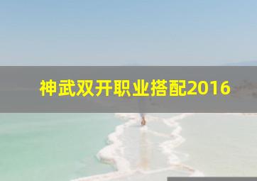 神武双开职业搭配2016