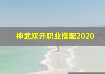 神武双开职业搭配2020