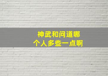 神武和问道哪个人多些一点啊