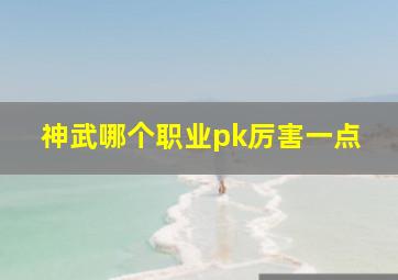 神武哪个职业pk厉害一点