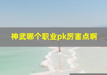 神武哪个职业pk厉害点啊