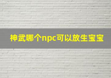 神武哪个npc可以放生宝宝