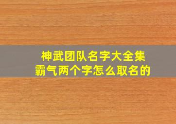 神武团队名字大全集霸气两个字怎么取名的