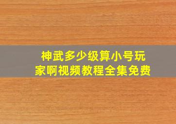 神武多少级算小号玩家啊视频教程全集免费